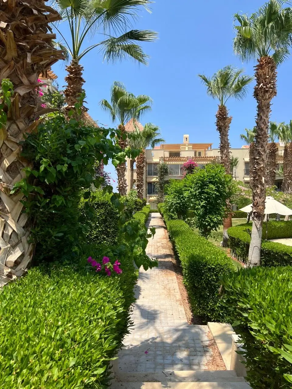Veranda Resort — студия в Сахль-Хашиш — 