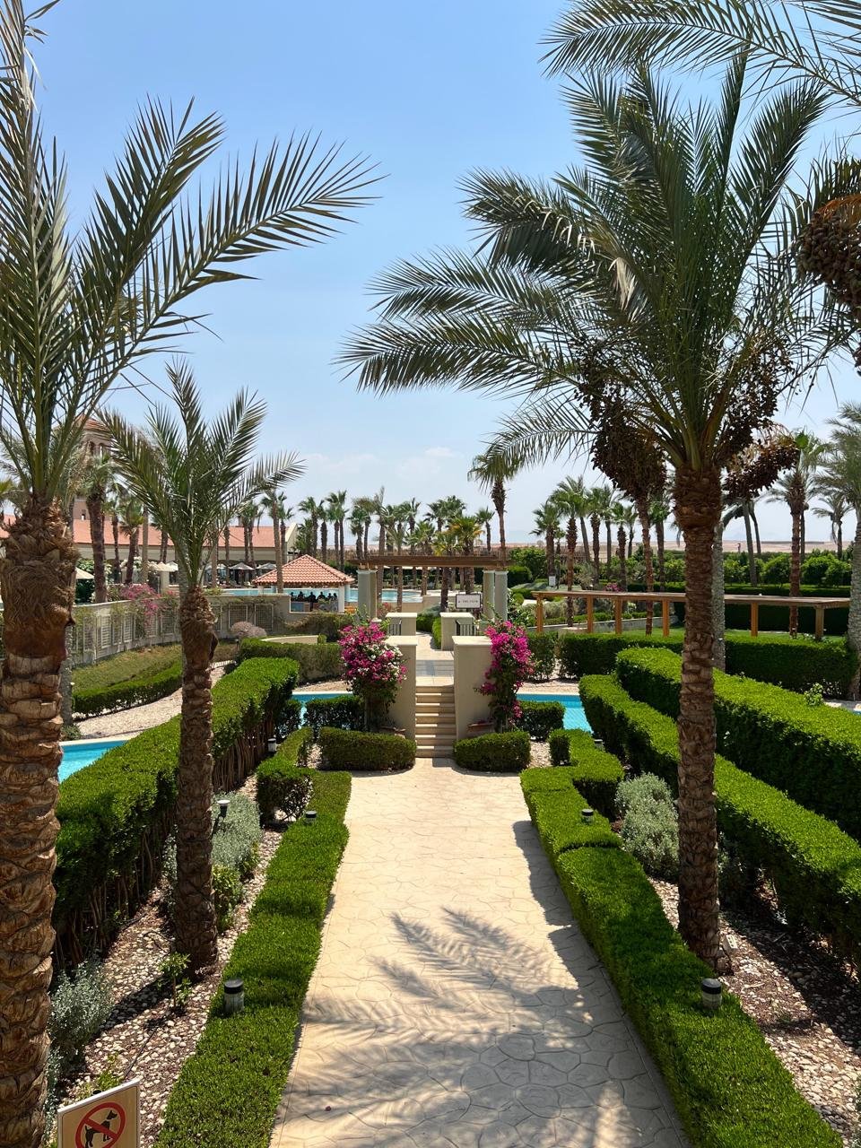 Veranda Resort — студия в Сахль-Хашиш — 